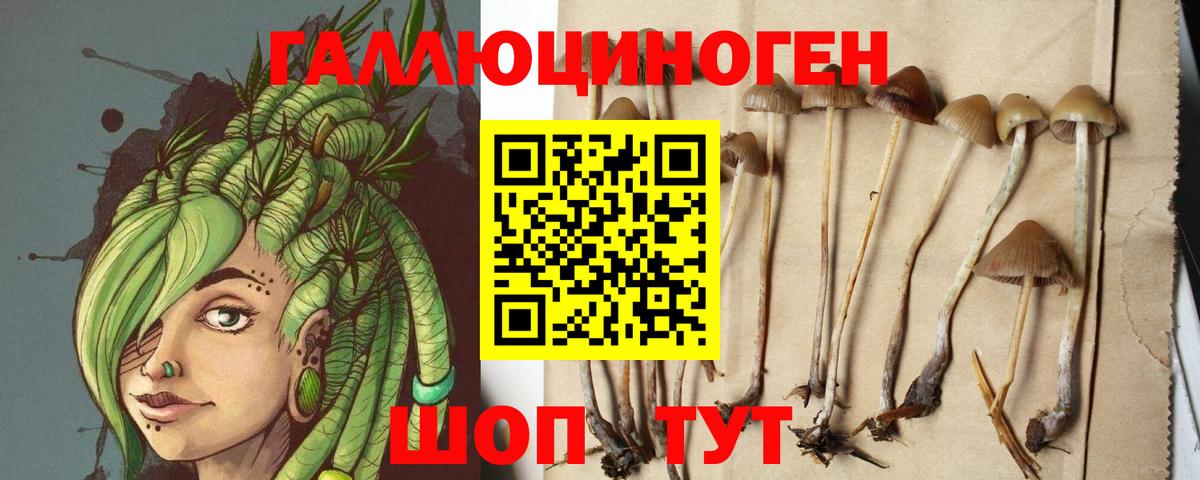 Галлюциногенные грибы мухоморы Волжский