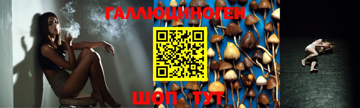 Псилоцибиновые грибы GOLDEN TEACHER  Вход с VPN  Волжский 
